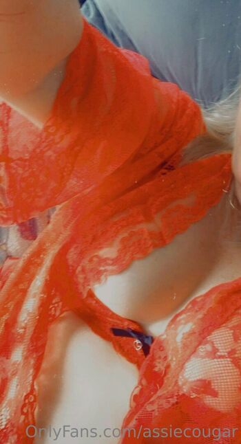 assiecougar