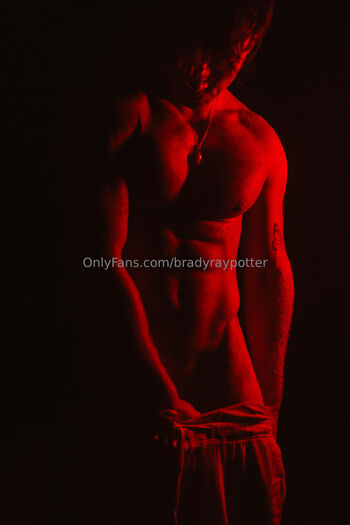 bradyraypotter