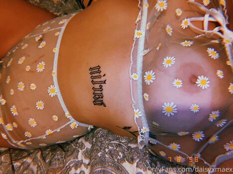 Daisy-maex
