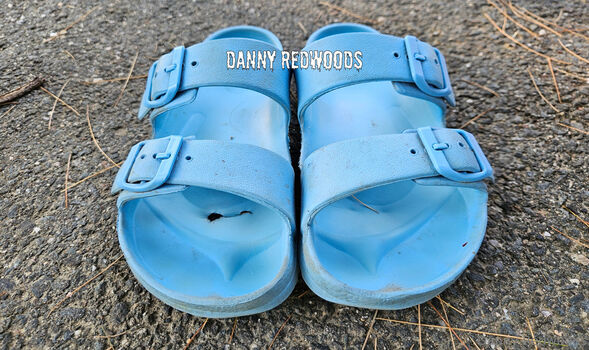 dannyredwoods