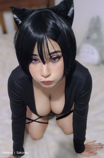 Sakuraju Asmr