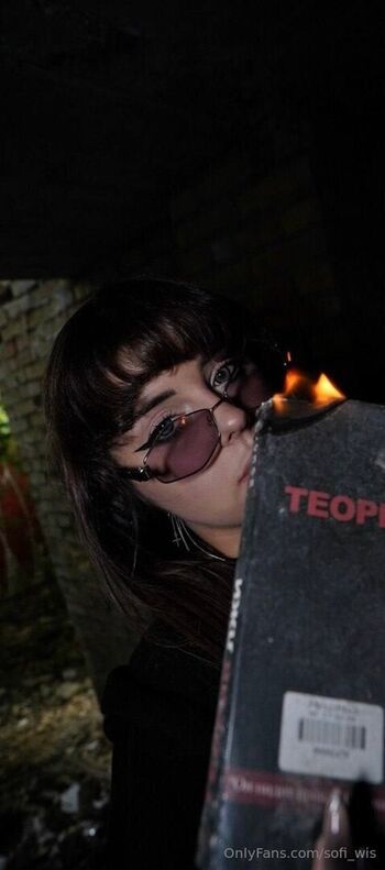 sofi_wis