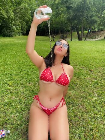 Stephllanes_
