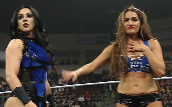The Bella Twins