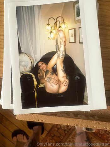 thelittletattooedkitten