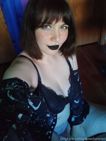 willowchantrieri