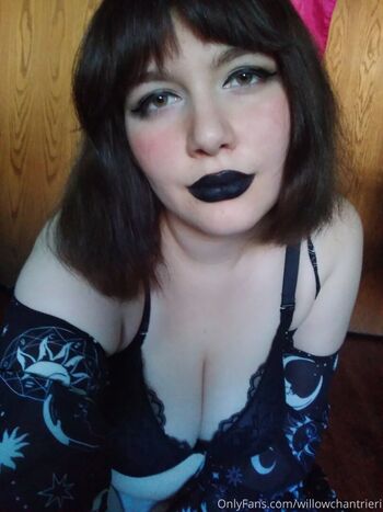 willowchantrieri
